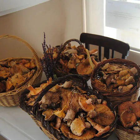 ホテル Santa Barbara 2*